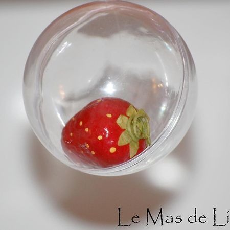 Maison D'Hotes Le Mas De Lila Вер-Пон-дю-Гар Екстер'єр фото
